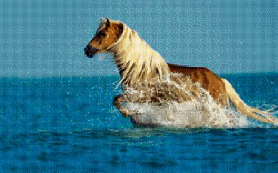 Лошадь и море - море, животные - предпросмотр