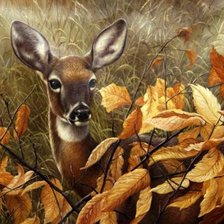 Схема вышивки «Тино Августо Бруно  "В лесу"»