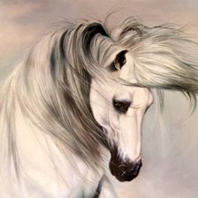 Схема вышивки «Тино Августо Бруно Белая Лошадь»