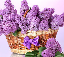 Схема вышивки «сирень»