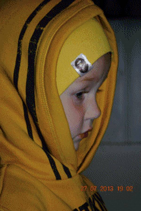 №492431 - предпросмотр