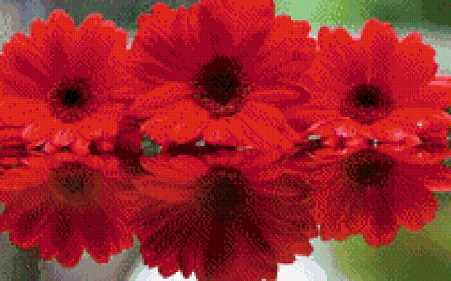 красота - предпросмотр