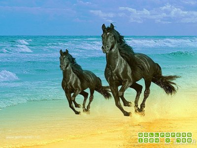 №492485 - лошади, картина, кони, животные - оригинал