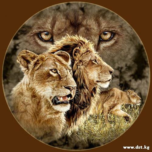 №492561 - оригинал