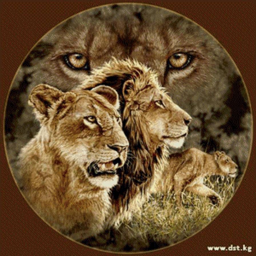 №492561 - предпросмотр