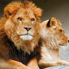 Схема вышивки «№492573»