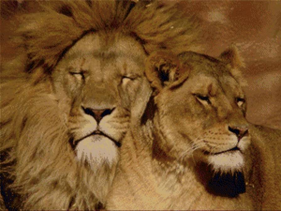 №492590 - предпросмотр