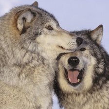 Схема вышивки «№492591»