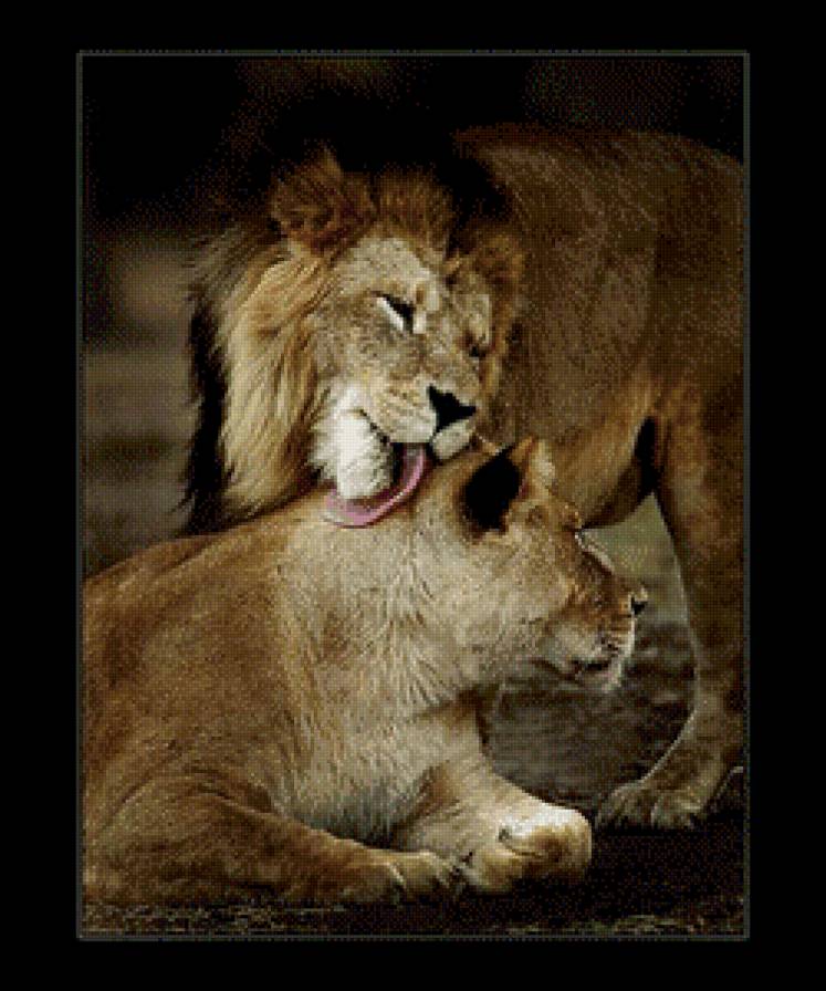 №492598 - предпросмотр