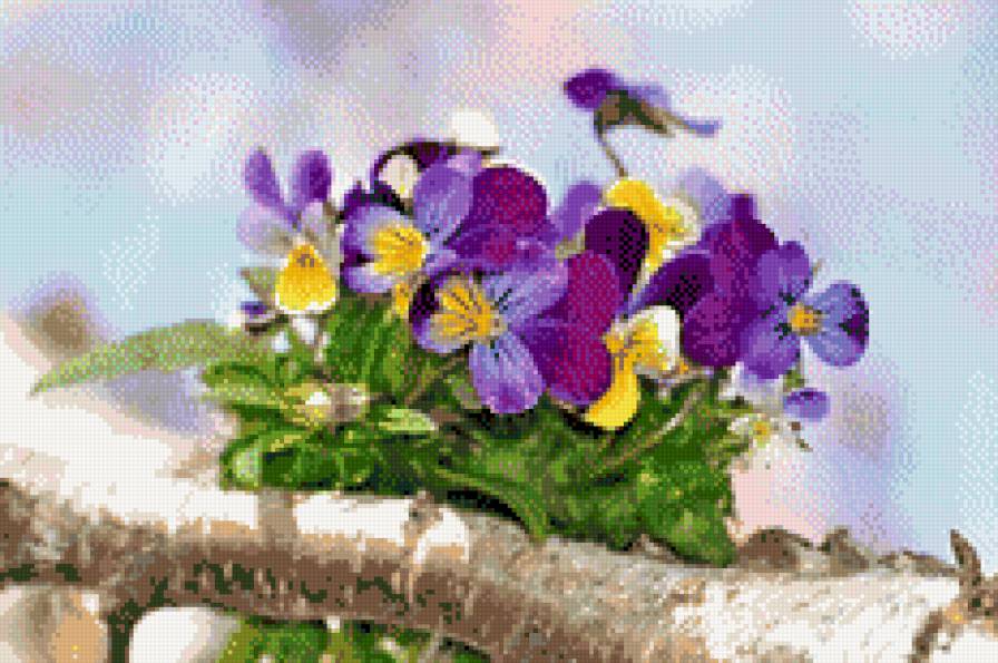 Анютины глазки - анютины глазки, цветы - предпросмотр