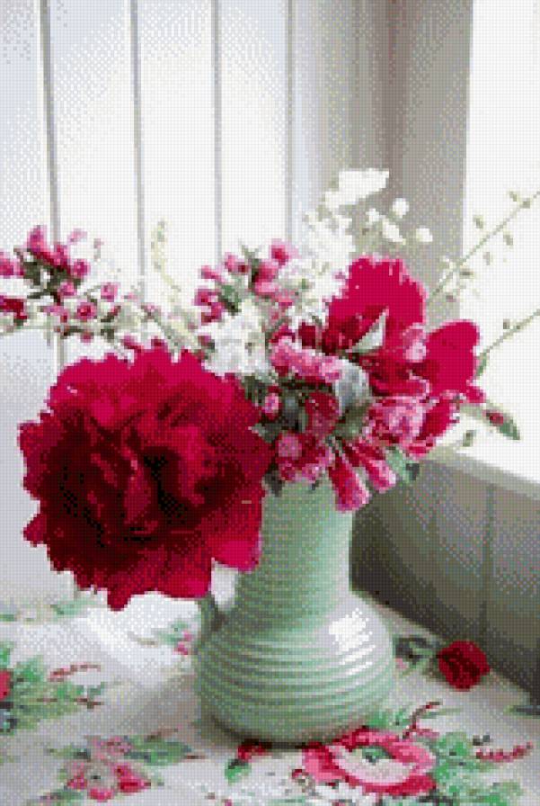 Пионы - пионы, цветы - предпросмотр