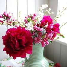 Схема вышивки «Пионы»