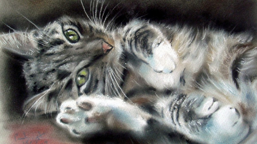 Ленивый котик - кошки, коты, кошечки - оригинал