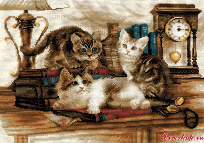ученые котята - друг, книги, животные, котенок, кот - оригинал