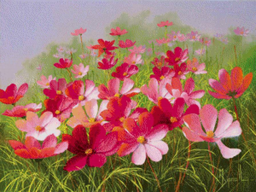 Краски лета - лето - предпросмотр