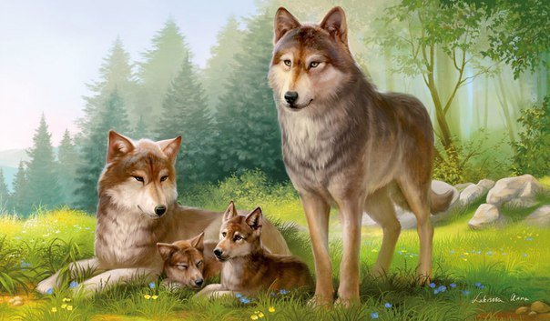 Счастливое семейство - волки, лес, лето - оригинал
