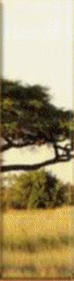 Деревья часть4 - дерево, деревья, африка, саванна, полиптих - предпросмотр