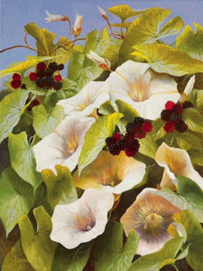 Ежевика - предпросмотр