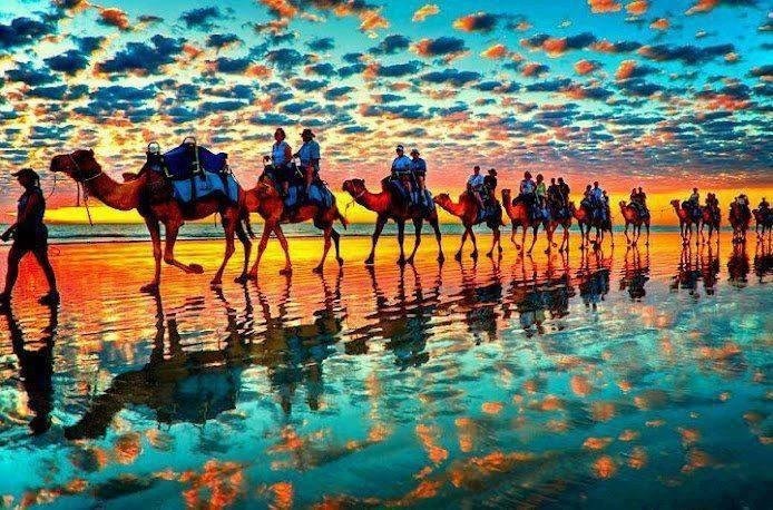 Караван - караван, пейзаж, море, верблюды, небо, природа - оригинал