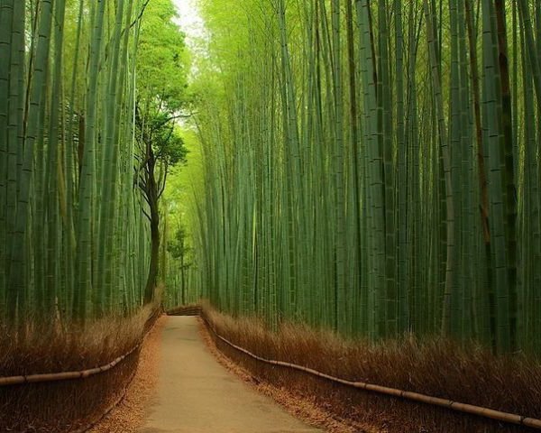 зелень - оригинал