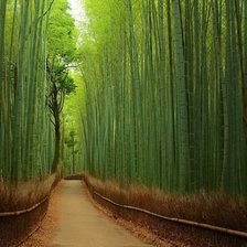 Схема вышивки «зелень»