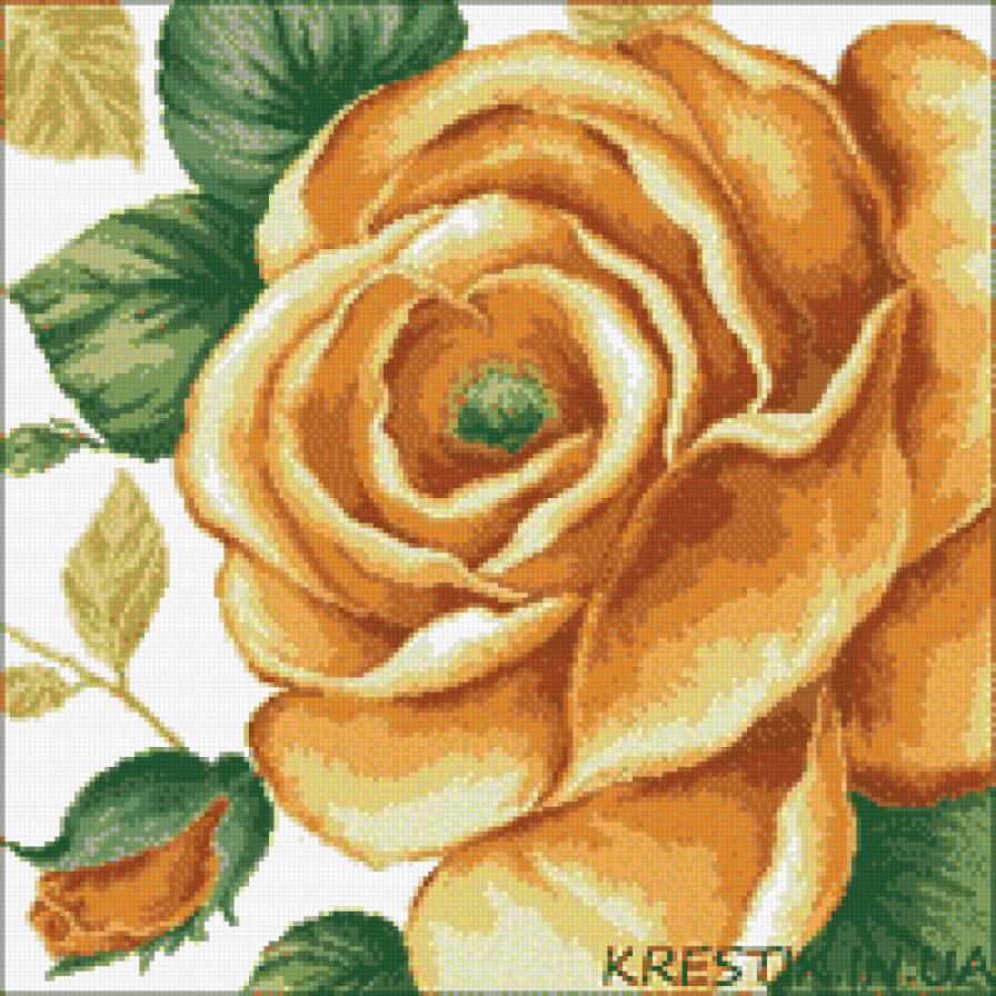 цветы. роза - желтая роза - предпросмотр