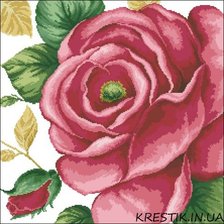 Оригинал схемы вышивки «цветы. роза» (№492924)