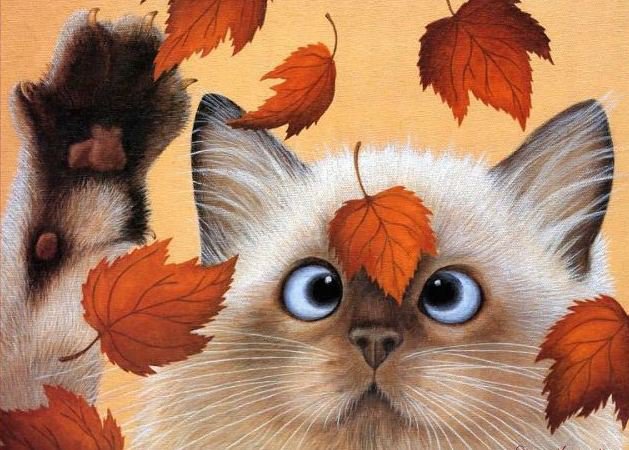 Забавный кот - осень, листья, кошки - оригинал