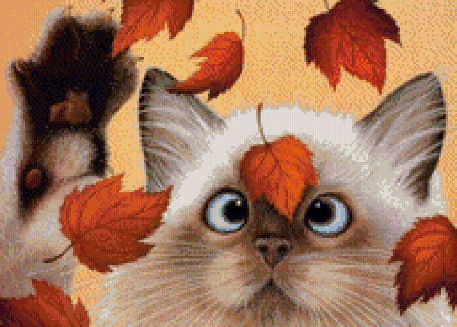 Забавный кот - осень, кошки, листья - предпросмотр