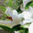 Предпросмотр схемы вышивки «№492971»