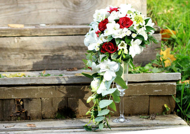 №492971 - оригинал