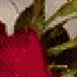 Предпросмотр схемы вышивки «№492981»