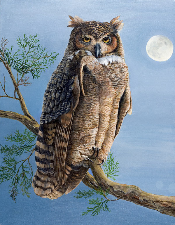 ночная птица - оригинал