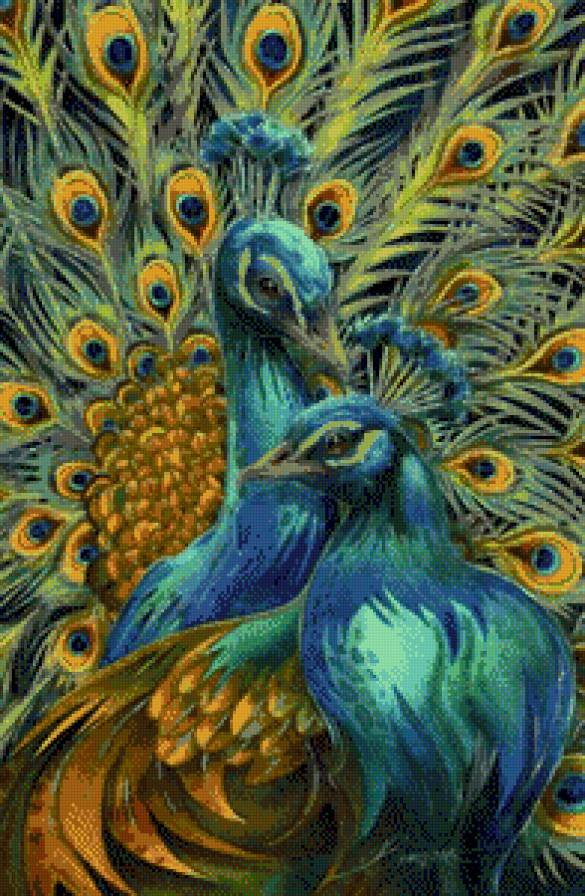 павлины - предпросмотр