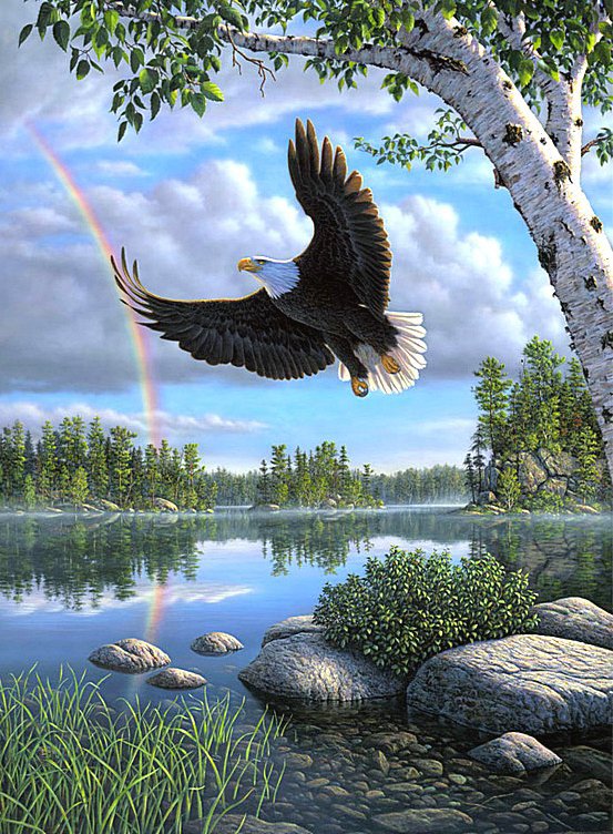 Орел - река, орел, природа, хищники, птица, радуга - оригинал