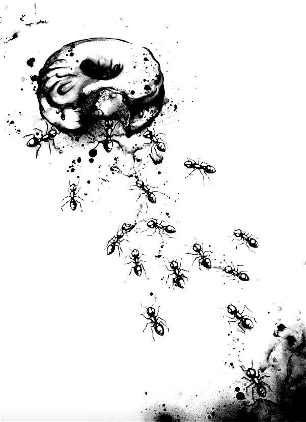 Нанами Каудрой 3 - монохром, муравьи - оригинал