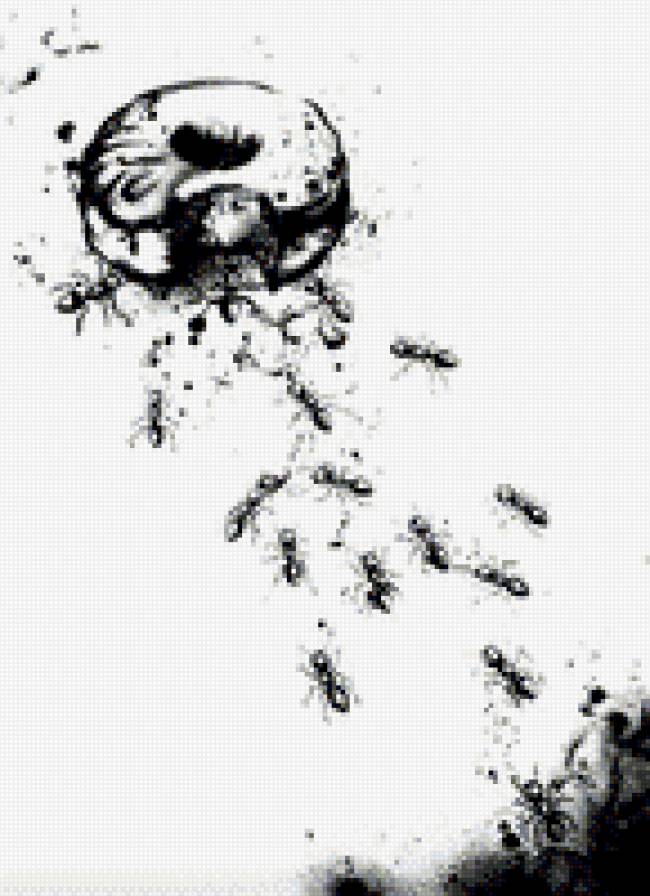 Нанами Каудрой 3 - монохром, муравьи - предпросмотр