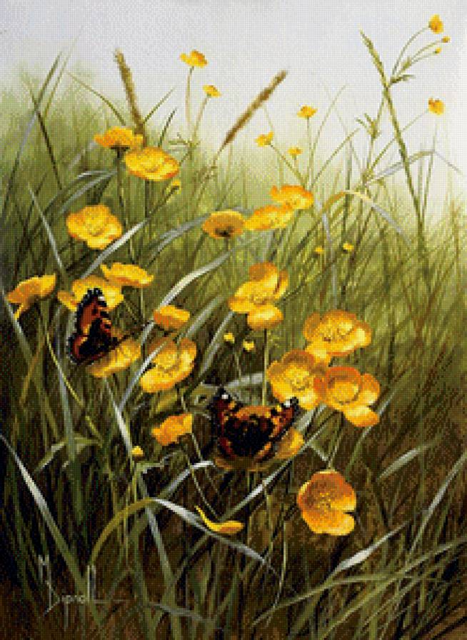 Бабочки - предпросмотр