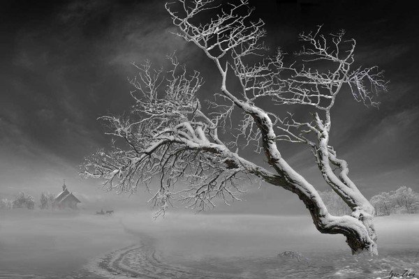 №493350 - оригинал