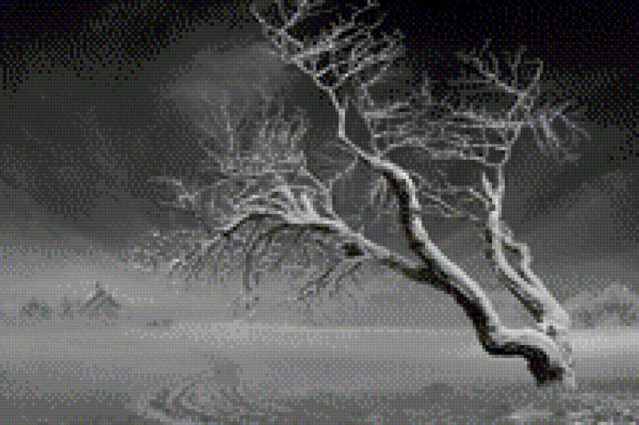 №493350 - предпросмотр