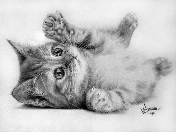 Котя - кот, рисунок карандашом - оригинал