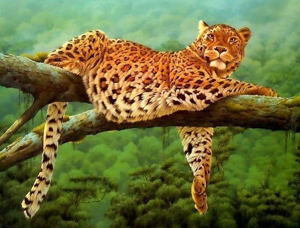 Леопард - природа, леопард, животные, кошка, хищники, барс - оригинал