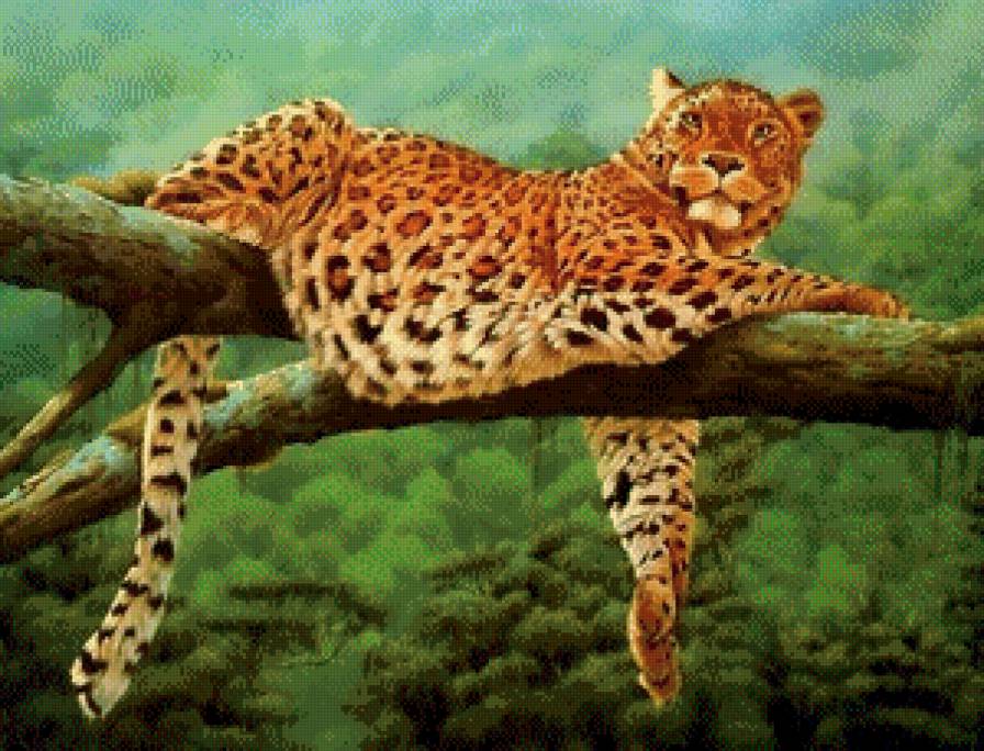 Леопард - природа, животные, кошка, барс, леопард, хищники - предпросмотр