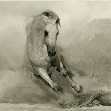 Схема вышивки «Лошадь»