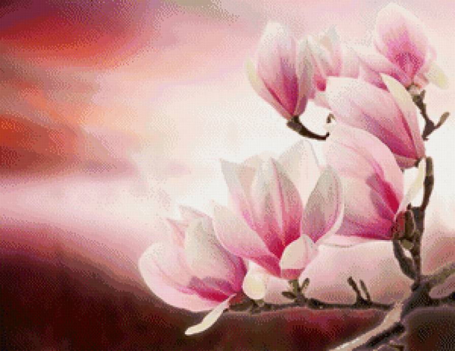 ветка магнолии - цветы, ветка, магнолия - предпросмотр