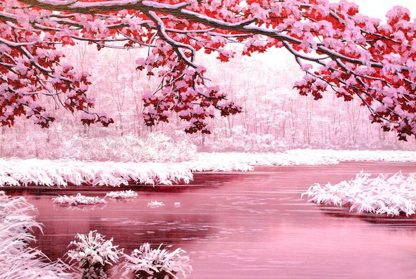 розовая зима - зима, пейзаж - оригинал
