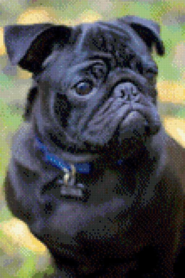 DOG - предпросмотр