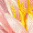Предпросмотр схемы вышивки «Цветок лотоса» (№493627)