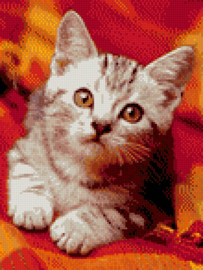 Котенок - кошки, котята - предпросмотр