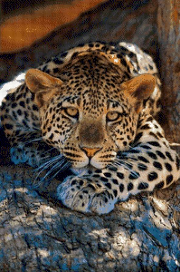 №493665 - предпросмотр